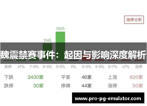 魏震禁赛事件：起因与影响深度解析