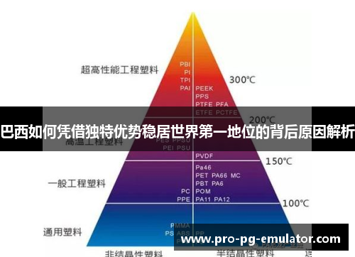 巴西如何凭借独特优势稳居世界第一地位的背后原因解析