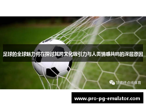 足球的全球魅力何在探讨其跨文化吸引力与人类情感共鸣的深层原因