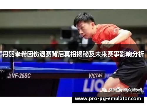 丹羽孝希因伤退赛背后真相揭秘及未来赛事影响分析 丹羽孝希因伤退赛背后真相揭秘及未来赛事影响分析