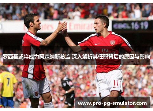罗西基或将成为阿森纳新总监 深入解析其任职背后的原因与影响 罗西基或将成为阿森纳新总监 深入解析其任职背后的原因与影响