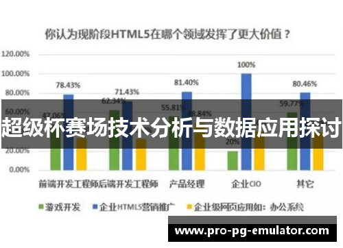 超级杯赛场技术分析与数据应用探讨