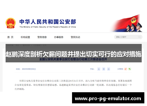 赵鹏深度剖析欠薪问题并提出切实可行的应对措施