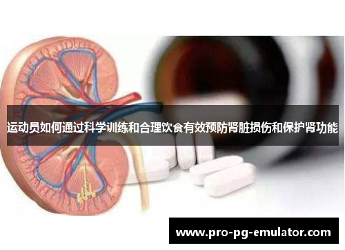 运动员如何通过科学训练和合理饮食有效预防肾脏损伤和保护肾功能 运动员如何通过科学训练和合理饮食有效预防肾脏损伤和保护肾功能