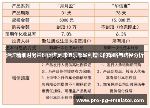 通过精细财务管理促进足球俱乐部盈利增长的策略与路径分析