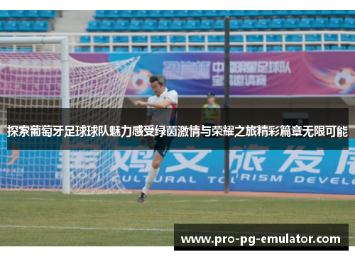 探索葡萄牙足球球队魅力感受绿茵激情与荣耀之旅精彩篇章无限可能