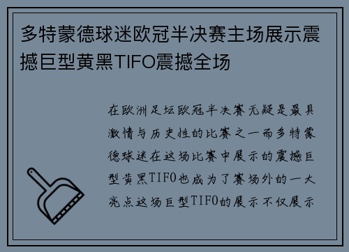 多特蒙德球迷欧冠半决赛主场展示震撼巨型黄黑TIFO震撼全场