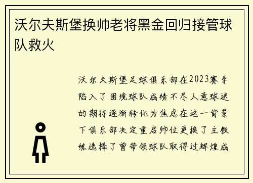 沃尔夫斯堡换帅老将黑金回归接管球队救火